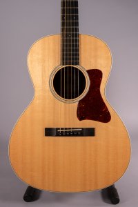 COLLINGS C10 INDIAN USATA