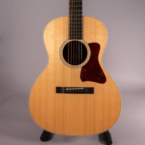 COLLINGS C10 INDIAN USATA