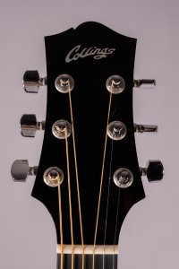 COLLINGS C10 INDIAN USATA