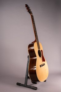 COLLINGS C10 INDIAN USATA