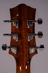 COLLINGS C10 INDIAN USATA