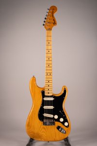 Fender Stratocaster 1975 usata