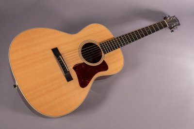 COLLINGS C10 INDIAN USATA