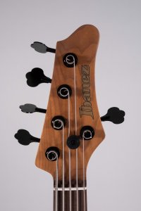 Ibanez MDM1605 5C Natural Mocha Low Gloss