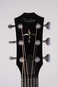 TAYLOR CUSTOM GP USATA