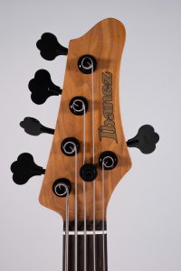 Ibanez MDM1605 5C Deep Twilight