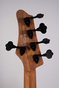 Ibanez MDM1605 5C Deep Twilight