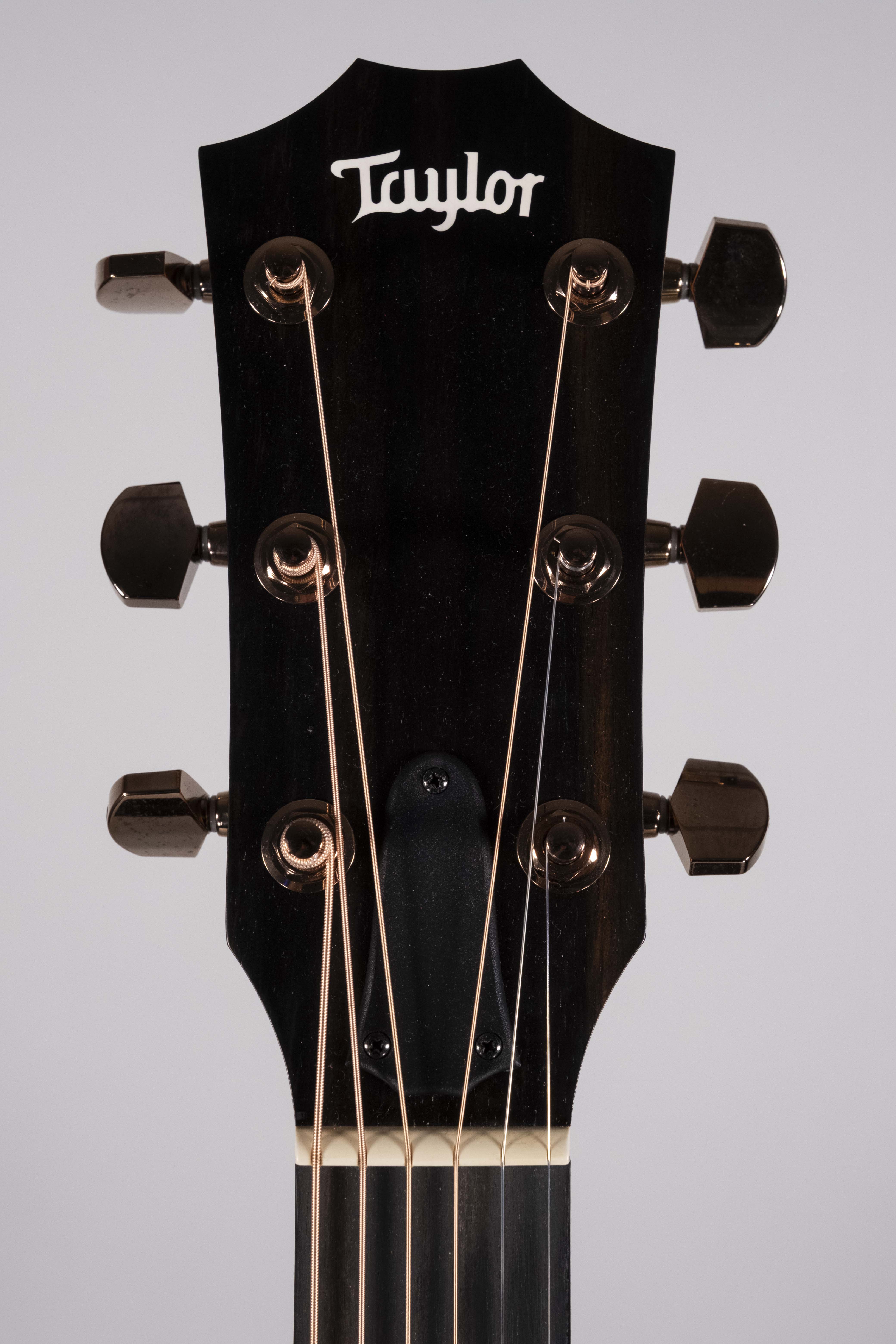 TAYLOR 224CE-K USATA
