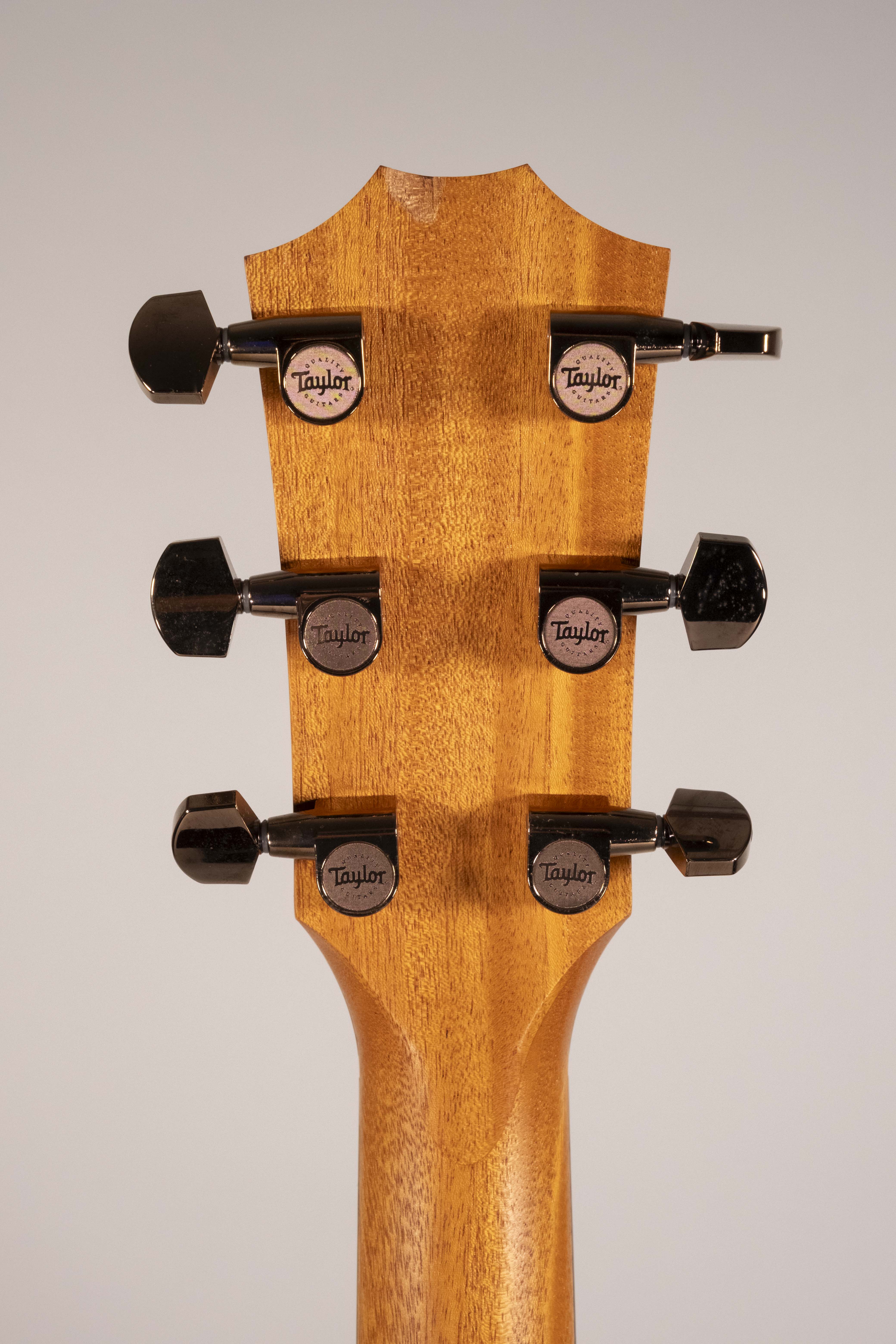 TAYLOR 224CE-K USATA