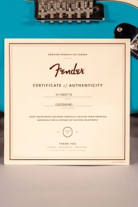 FENDER AM. PROFESSIONAL II USATA