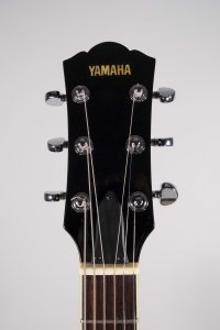 YAMAHA APX500 USATA