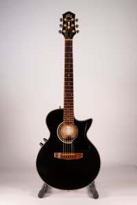 guild songbird 1991 usata