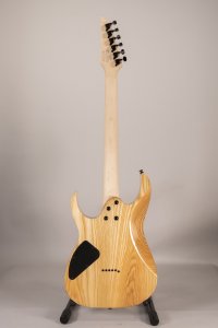 IBANEZ RG421 USATA