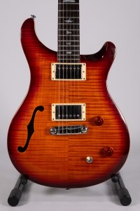PRS SE CUSTOM 22 SH BIRDS USATA