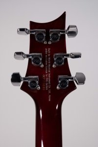 PRS SE CUSTOM 22 SH BIRDS USATA