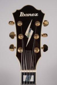 Ibanez Pm2 Nat. USATA