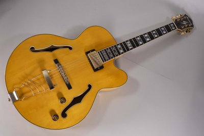 Ibanez Pm2 Nat. USATA