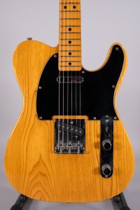 Fernandes Revival Tele Usata