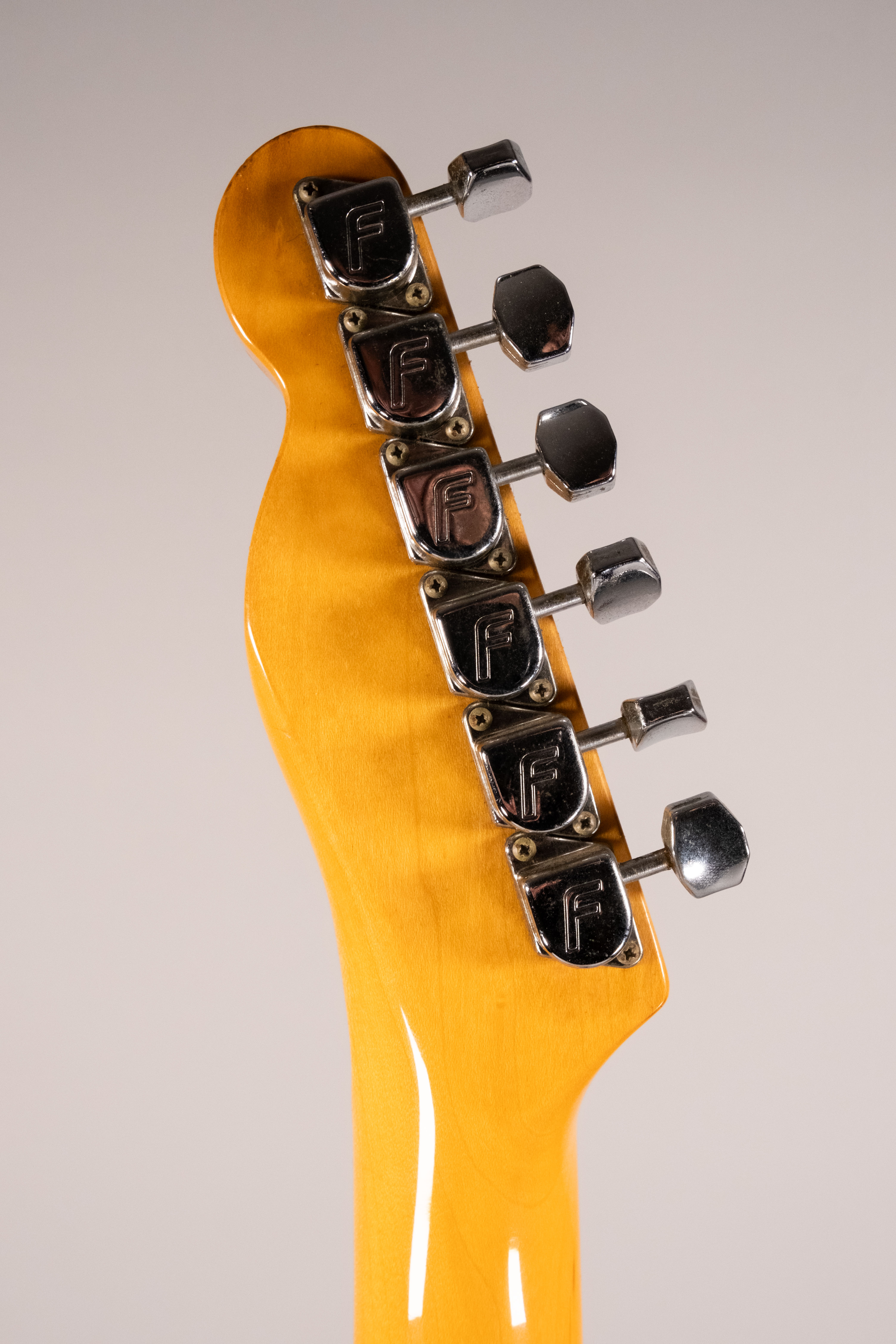 Fernandes Revival Tele Usata