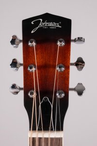 Johnson Guitars Chitarra Resofonica wood elettrificata