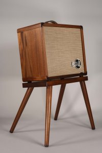 Taylor Circa 74 Acoustic Vocal Combo con Stand