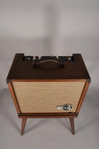 Taylor Circa 74 Acoustic Vocal Combo con Stand