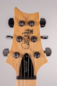 PRS SE Swamp Ash Special Charcoal