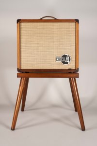 Taylor Circa 74 Acoustic Vocal Combo con Stand