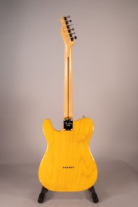 fender telecaster am pro usata