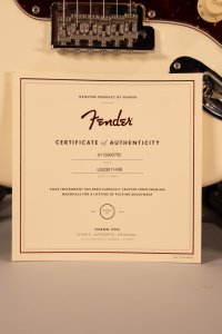 FENDER AM PRO II USATA