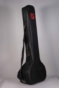 SITAR ARTIGIANALE USATO