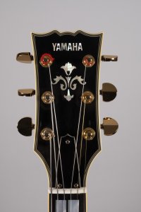 YAMAHA SA2200 USATA