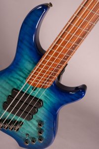 Dingwall Combustion 5 string 3 Pickups Pau-Ferro Whalepool Burst