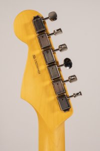 Fender Stratocaster American Professional Classic HSS Faded Sherwood Green