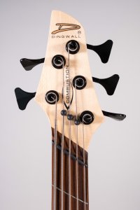 Dingwall Combustion 5-String Pau Ferro Indigo Burst