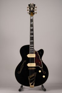 D'ANGELICO EXCEL 59 USATA