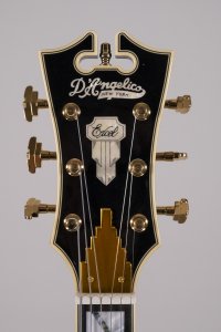 D'ANGELICO EXCEL 59 USATA