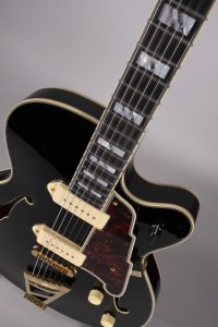 D'ANGELICO EXCEL 59 USATA