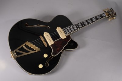 D'ANGELICO EXCEL 59 USATA