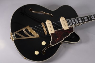 D'ANGELICO EXCEL 59 USATA