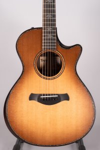 taylor 912 ce builders edition usata