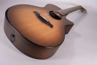 taylor 912 ce builders edition usata