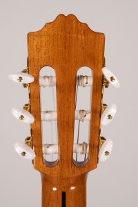 JOSE' TORRES FS 1Spalla Manc. Ele.Usata