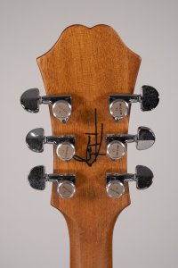 epiphone tom delonge usata