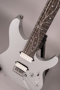 Ibanez TOD10 Tim Henson Signature Silver