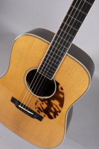 EASTMAN E20D D-TC-LSH USATA