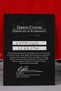GIBSON ES-335 CHERRY 20120 USATA