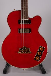 EPIPHONE ALLEN WOODY USATA