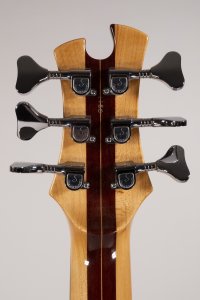 TOBIAS 6 CORDE BASIC USATO