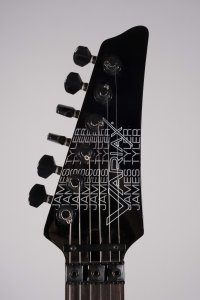 LINE 6 JTV89F VARIAX USATO